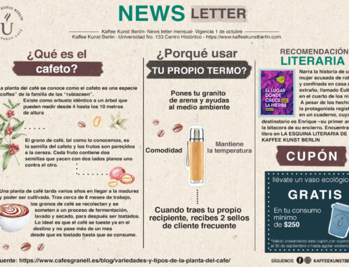 Newsletter Volumen 2